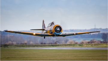 Image of T6 Harvard - Battle Of Britain
