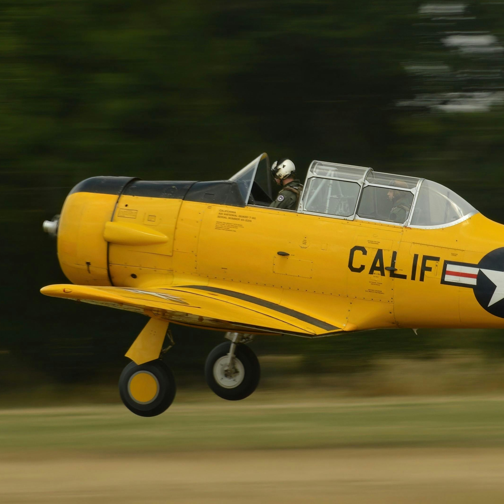 Win a Flight in a WWII Harvard Fighter Plane!