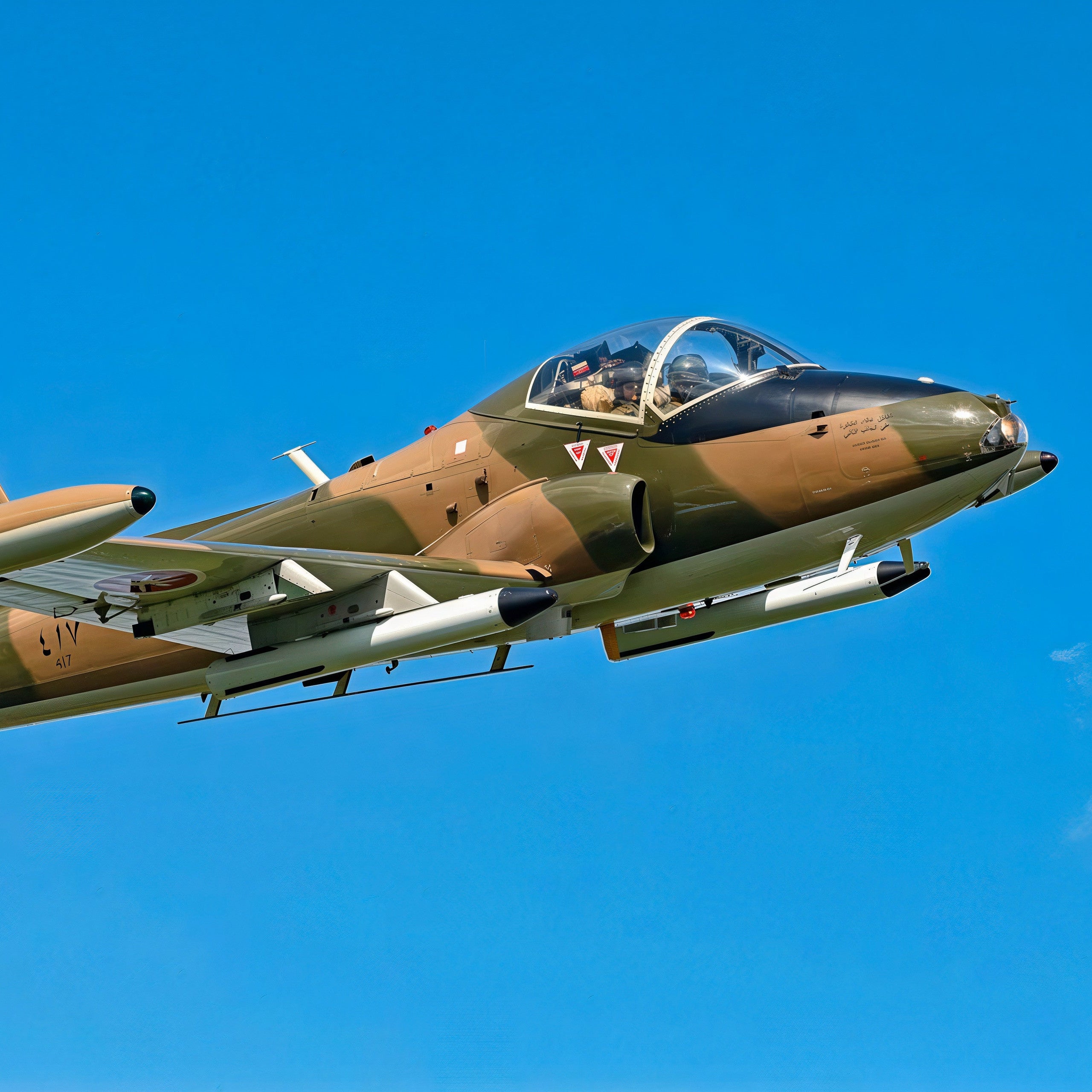 Flight in a Strikemaster Fighter Jet!